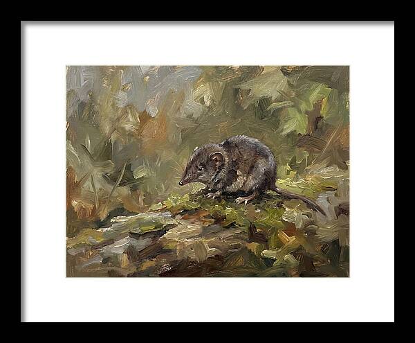 Shrew Amongst Nature