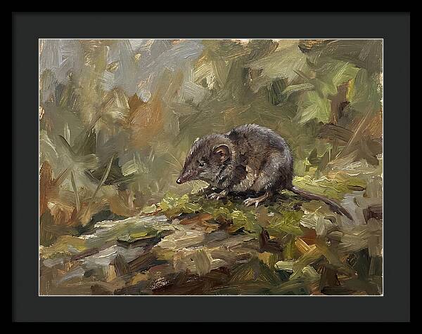 Shrew Amongst Nature