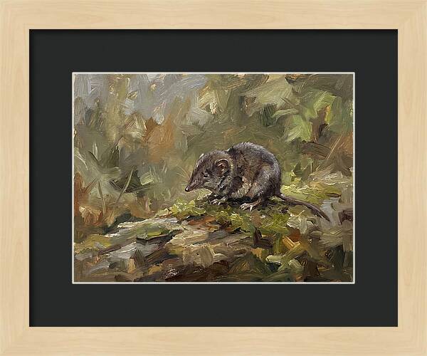 Shrew Amongst Nature