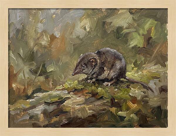 Shrew Amongst Nature