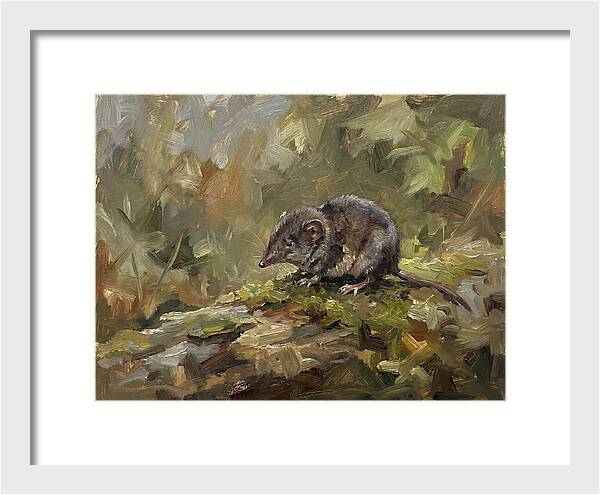 Shrew Amongst Nature