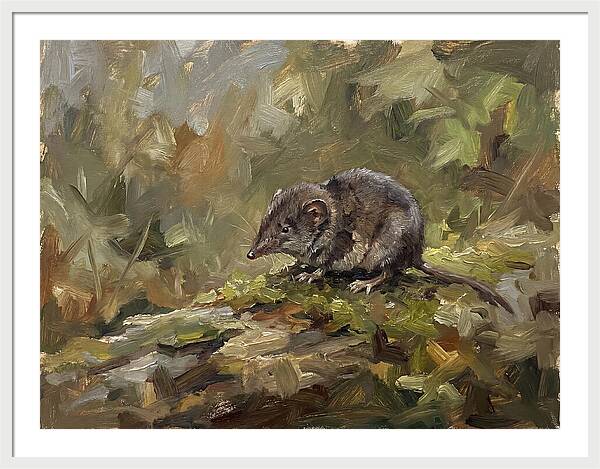 Shrew Amongst Nature