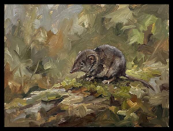 Shrew Amongst Nature
