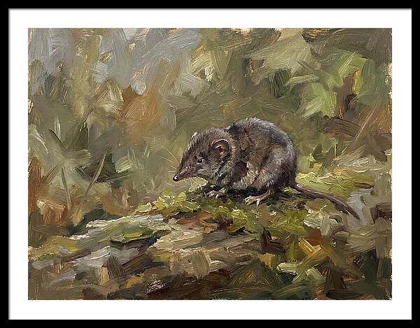 Shrew Amongst Nature
