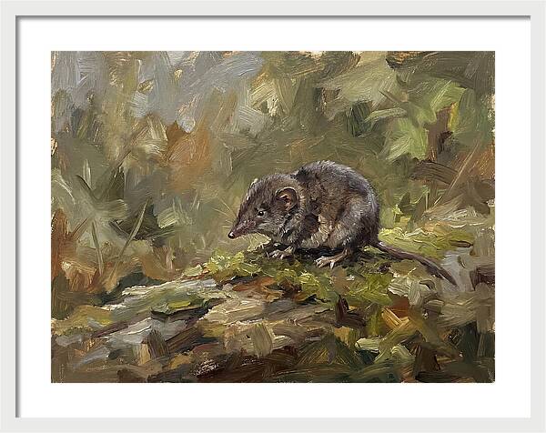 Shrew Amongst Nature
