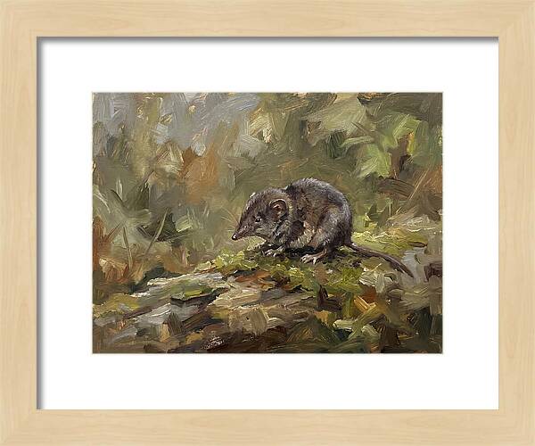 Shrew Amongst Nature