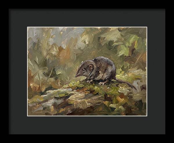 Shrew Amongst Nature
