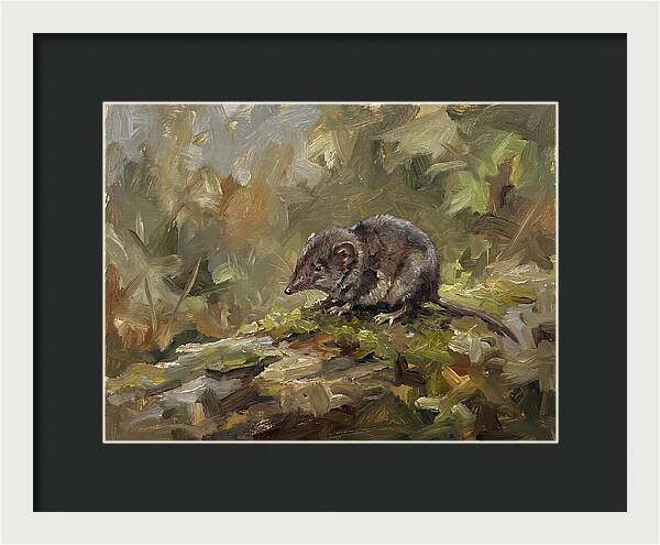Shrew Amongst Nature