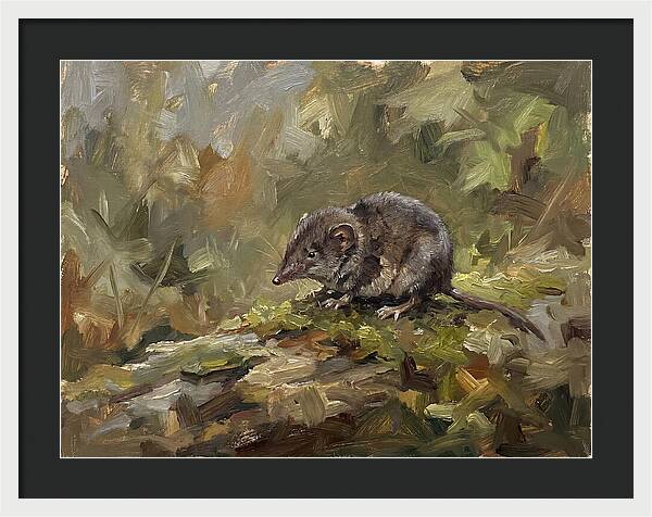 Shrew Amongst Nature