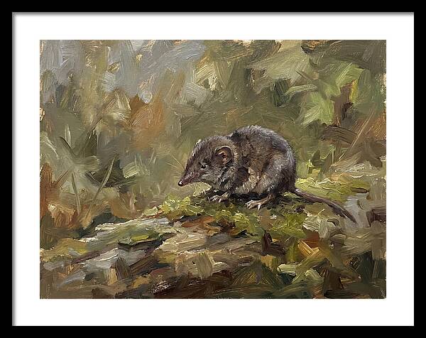 Shrew Amongst Nature