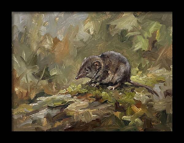 Shrew Amongst Nature