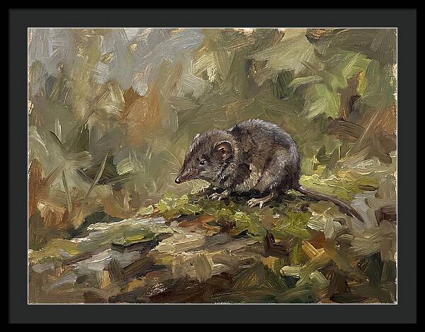 Shrew Amongst Nature