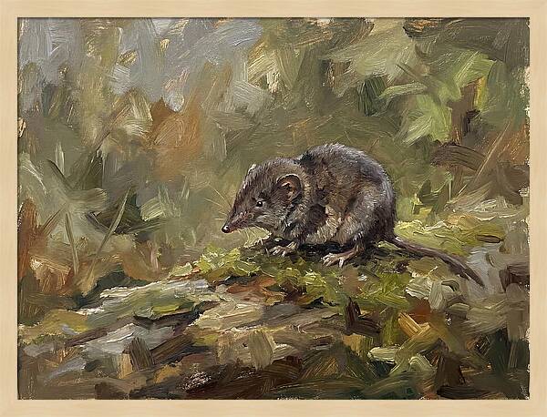 Shrew Amongst Nature