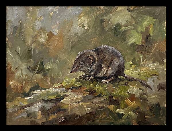 Shrew Amongst Nature