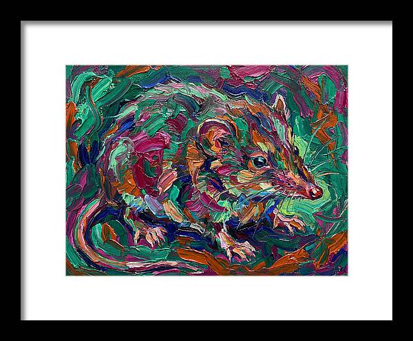 Shrew In Vibrant Colors
