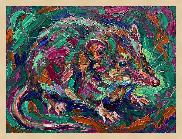 Shrew In Vibrant Colors