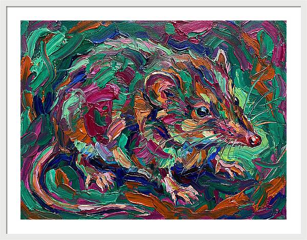 Shrew In Vibrant Colors