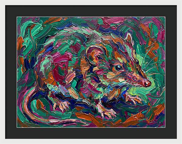 Shrew In Vibrant Colors