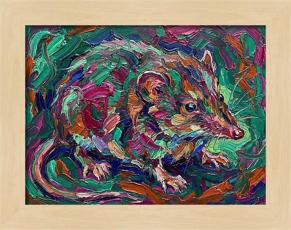Shrew In Vibrant Colors