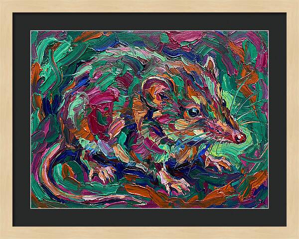 Shrew In Vibrant Colors