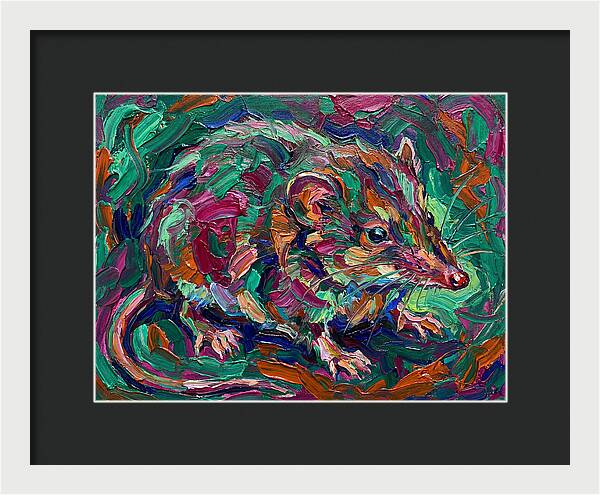Shrew In Vibrant Colors