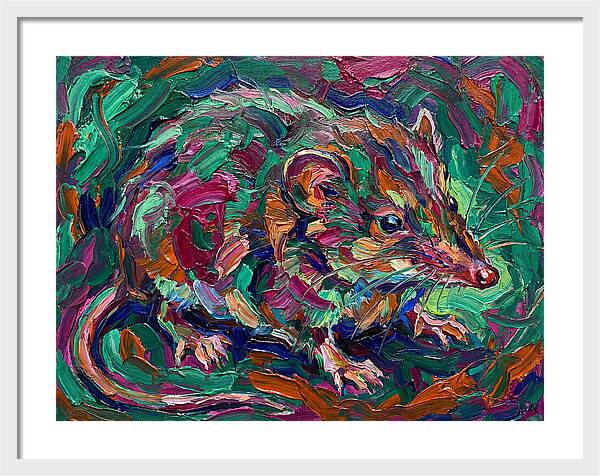 Shrew In Vibrant Colors