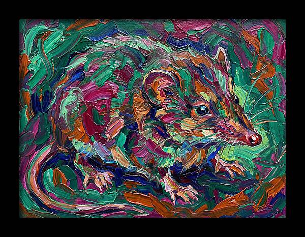 Shrew In Vibrant Colors