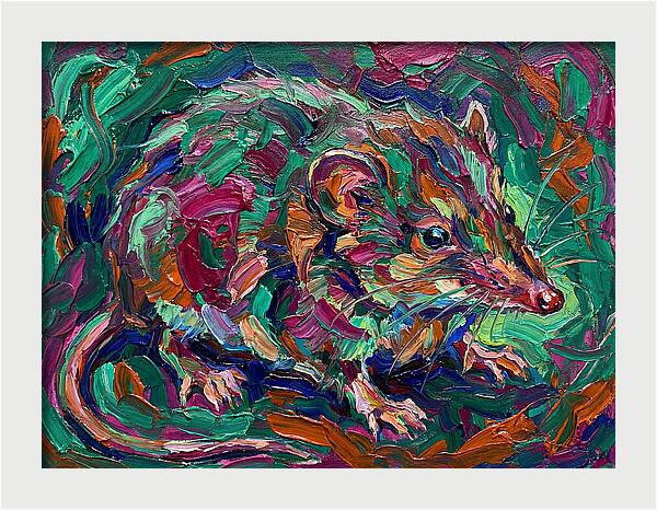 Shrew In Vibrant Colors