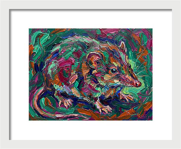 Shrew In Vibrant Colors