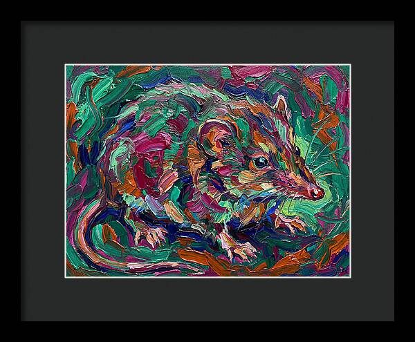 Shrew In Vibrant Colors
