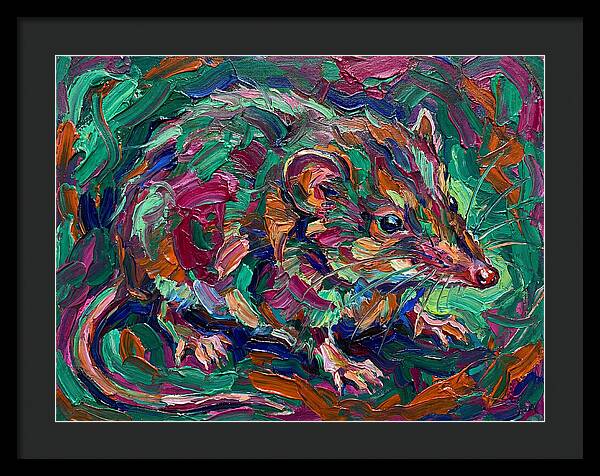 Shrew In Vibrant Colors