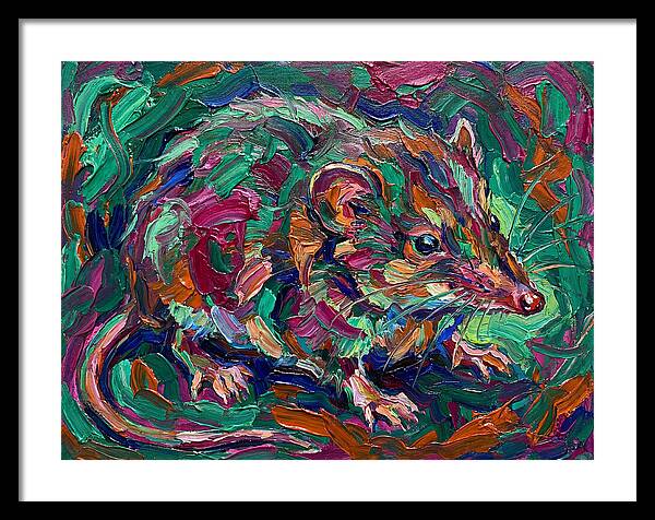 Shrew In Vibrant Colors