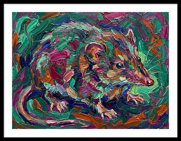 Shrew In Vibrant Colors