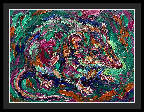 Shrew In Vibrant Colors
