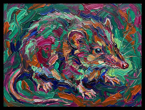 Shrew In Vibrant Colors