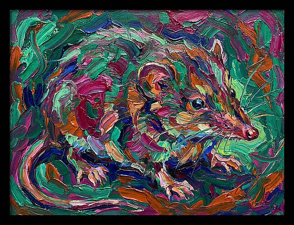 Shrew In Vibrant Colors
