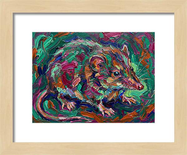 Shrew In Vibrant Colors
