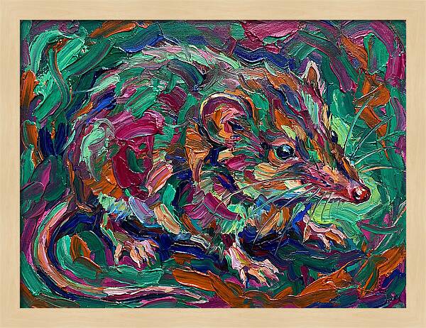 Shrew In Vibrant Colors
