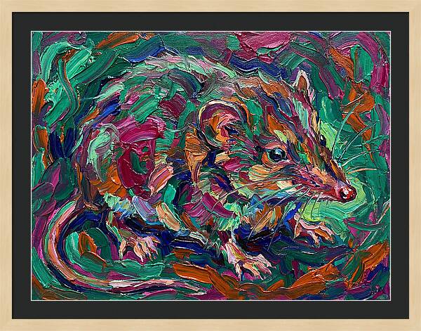 Shrew In Vibrant Colors