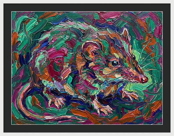 Shrew In Vibrant Colors