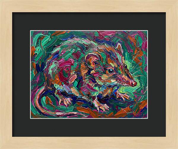 Shrew In Vibrant Colors