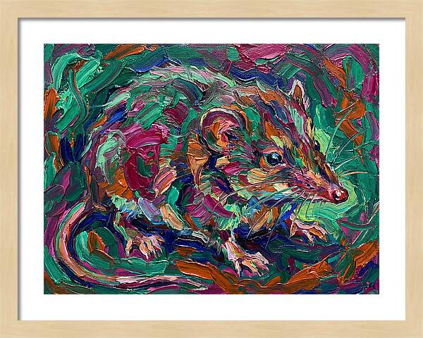 Shrew In Vibrant Colors
