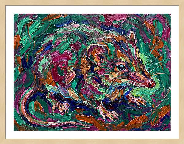 Shrew In Vibrant Colors