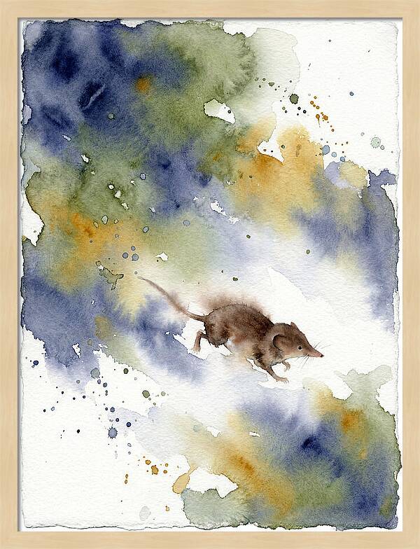 Shrew In Watercolor Splendor