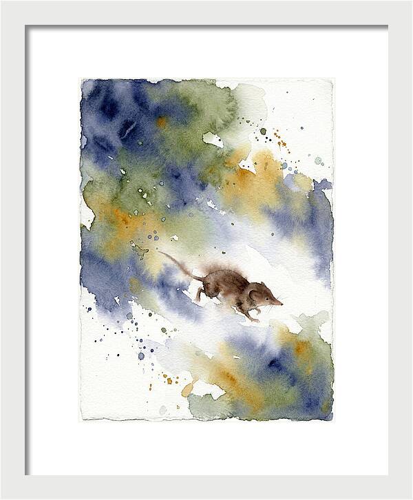 Shrew In Watercolor Splendor