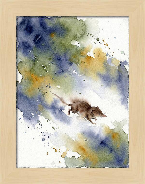 Shrew In Watercolor Splendor