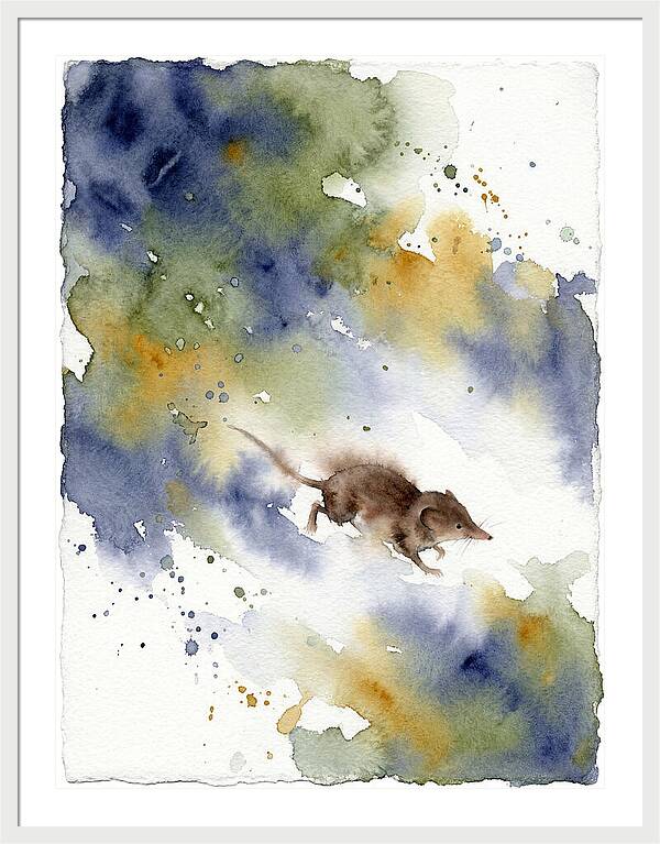 Shrew In Watercolor Splendor