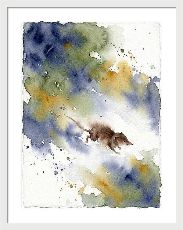 Shrew In Watercolor Splendor