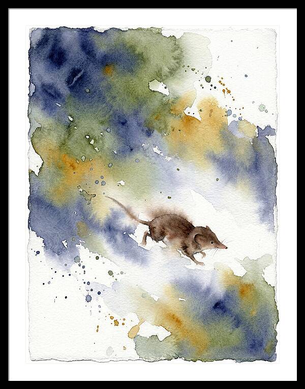 Shrew In Watercolor Splendor
