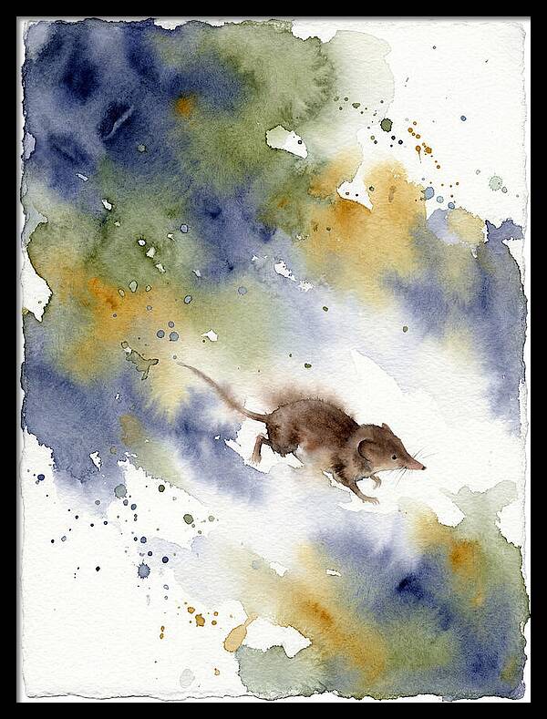 Shrew In Watercolor Splendor